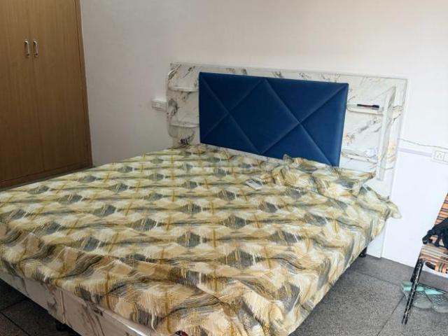 1 RK Apartment in Chhoti Barandari I for rent Jalandhar. The reference number is 20494414