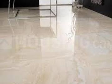 1 RK Apartment in Chuna Bhatti for rent Bhopal. The reference number is 6587248