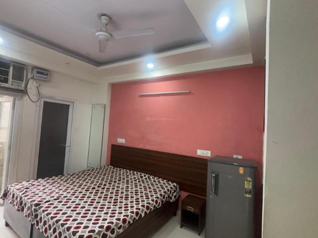 1 RK Apartment in DLF Phase 3 for rent Gurgaon. The reference number is 21198389