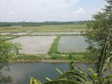 Teen Kanya, Raigachhi, North Twenty Four Parganas District, West Bengal