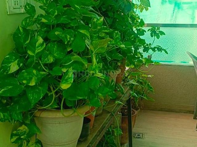 1 RK Apartment in Raja Park for rent Jaipur. The reference number is 20832297