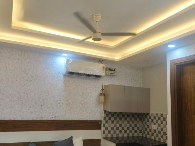 1 RK Apartment in Sector 17 for rent Gurgaon. The reference number is 20727631