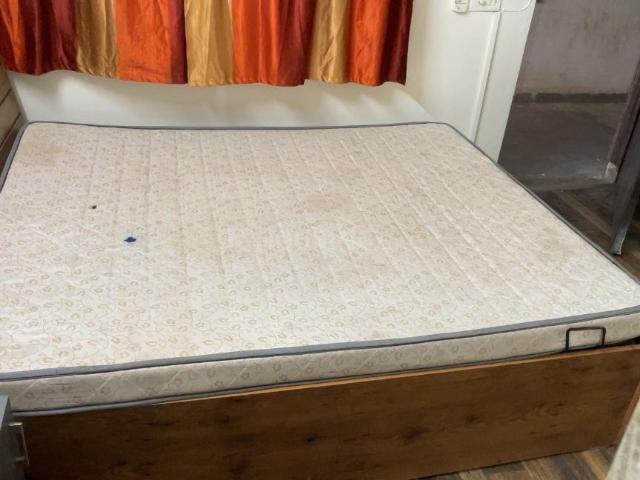 1 RK Apartment in Sector 61 for rent Gurgaon. The reference number is 20384753