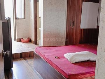 1 RK Apartment in Sector 66 for rent Gurgaon. The reference number is 20489208