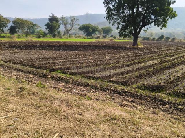 1 RK Farm House in Limbodi for rent Indore. The reference number is 19043560