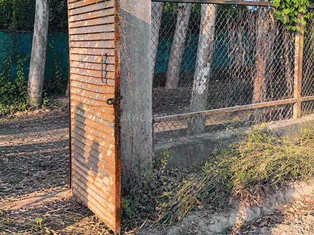 1 RK Farm House in Sector 135 for resale Noida. The reference number is 21124929