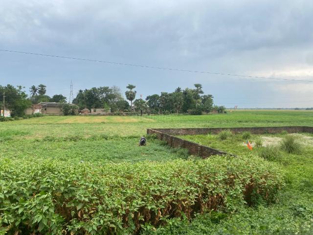 1 RK Farm House in Serampore for resale Hooghly. The reference number is 20154737