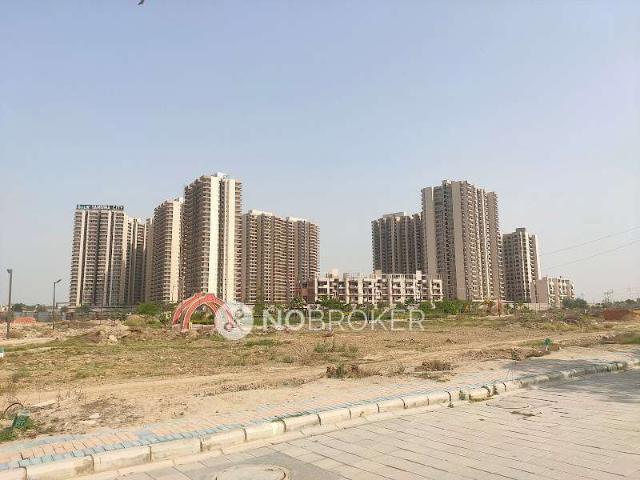 1 RK Flat In Gaur Yamuna City for Rent In Yamuna Expy