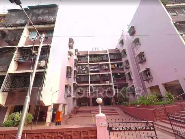 1 RK Flat In Orchids Co operative Housing Society Ltd for Rent In Bhavani Nagar