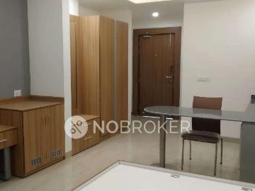 1 RK Flat In Spaze Apotel For Sale In Sector 47