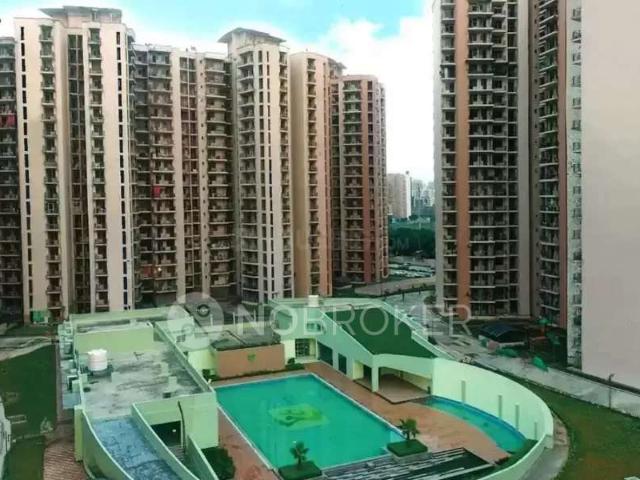 1 RK Flat In Pan Oasis for Rent In Sector 70