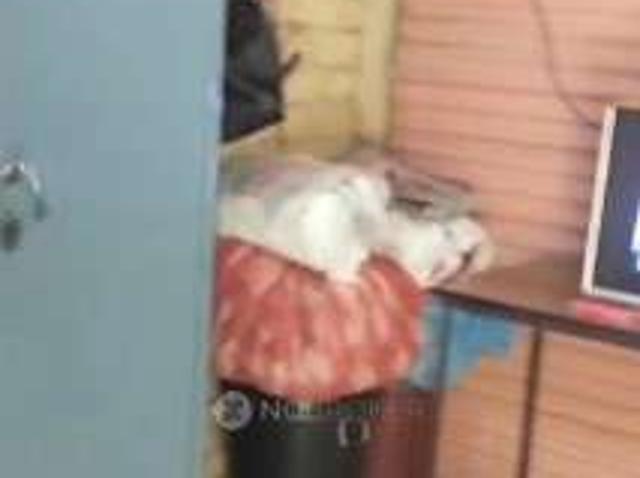 1 RK House For Sale In Shivtej Nagar