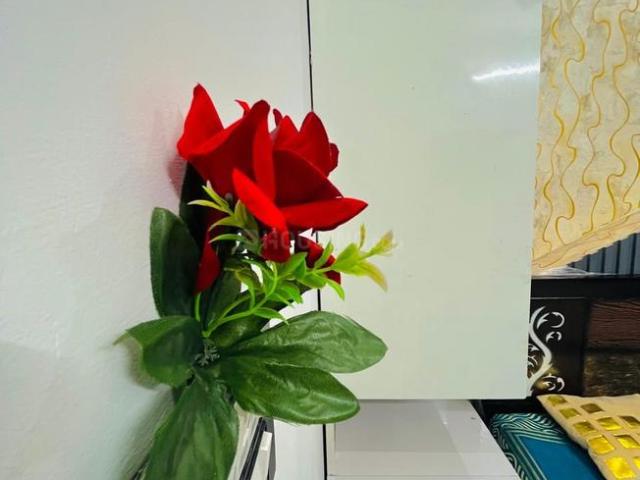 1 RK Independent Builder Floor in Karampura for rent New Delhi. The reference number is 18024577