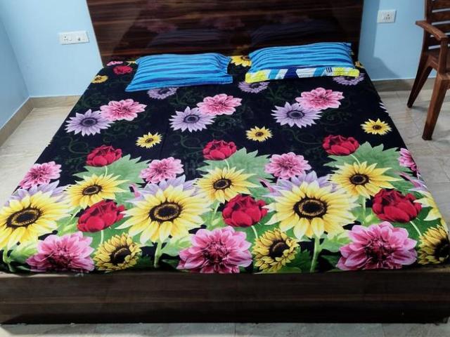 1 RK Independent Builder Floor in Laxmi Sagar for rent Bhubaneswar. The reference number is 20591896