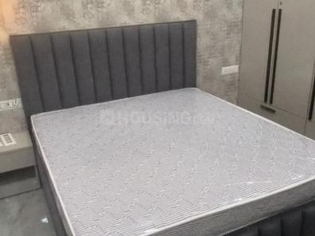 1 RK Independent Builder Floor in Sector 57 for rent Gurgaon. The reference number is 20510989