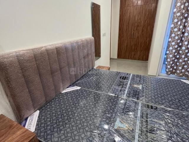1 RK Independent Builder Floor in Sector 57 for rent Gurgaon. The reference number is 20571771