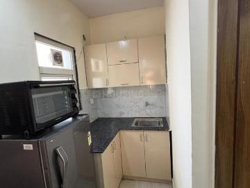 1 RK Independent House in Sector 43 for rent Gurgaon. The reference number is 20527508