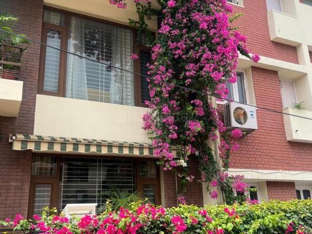 1 RK Independent House in Sector 21 for rent Chandigarh. The reference number is 20530062
