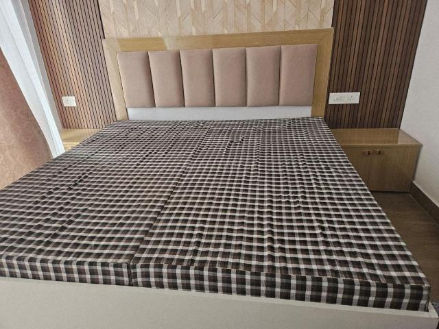 1 RK Studio in Delta I for rent Greater Noida. The reference number is 20868473