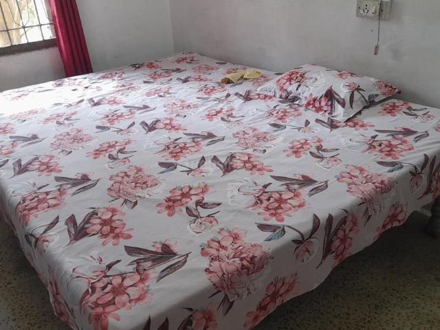 1 RK Studio in Kohefiza for rent Bhopal. The reference number is 21309298