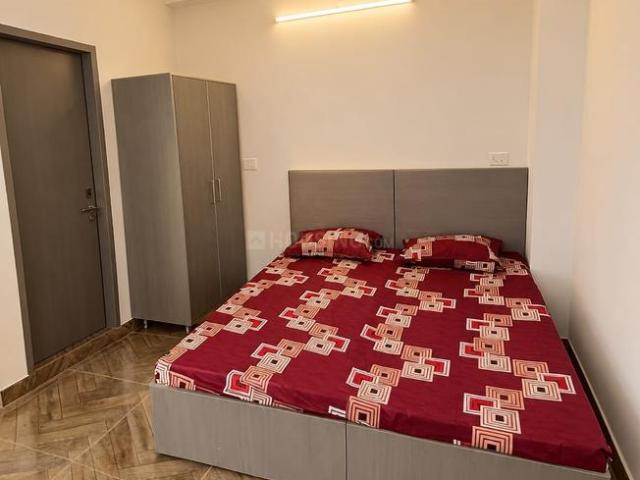 1 RK Studio in Sector 13 for rent Gurgaon. The reference number is 21112772