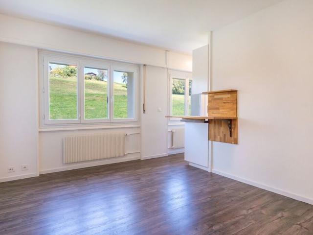 1 room apartment completely renovated