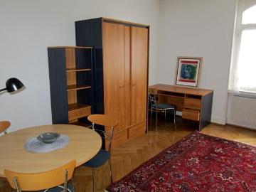 1 ROOM APARTMENT IN BASEL BIRSFELDEN, FURNISHED