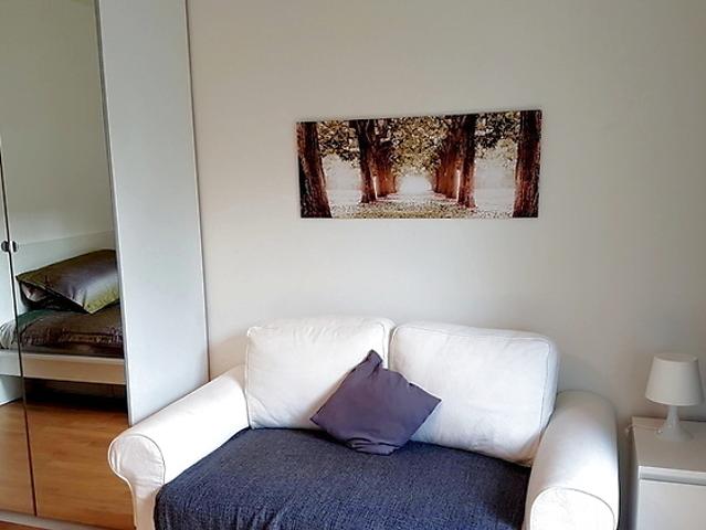 1 room apartment in Basel Spalen, furnished
