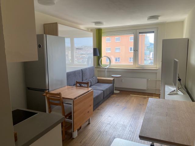 1 room apartment in city center