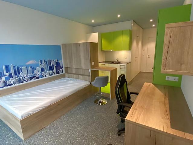 1½ room apartment in Horw LU, furnished, temporary