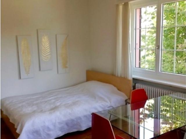 1 room apartment in Liestal BL, furnished