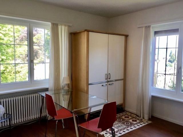 1 ROOM APARTMENT IN LIESTAL BL, FURNISHED