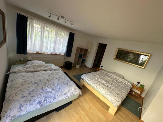 1 ROOM APARTMENT IN RICKENBACH SULZ ZH, FURNISHED