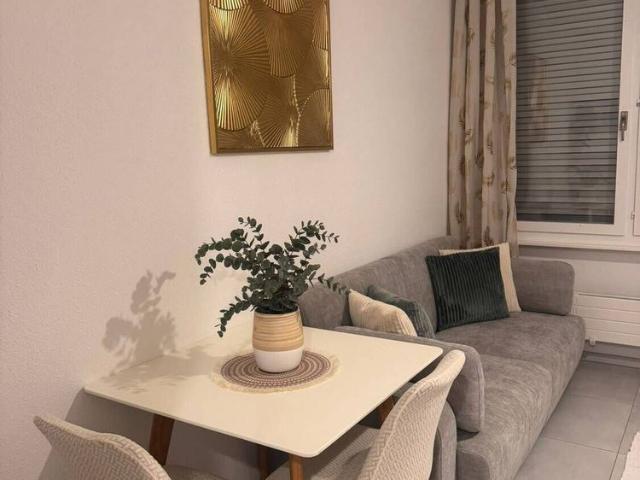 1 ROOM APARTMENT IN VEVEY VD, FURNISHED, FIXED TERM