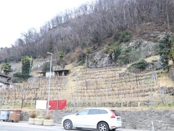 Rebberg