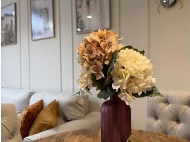 1 room luxury Apartment for rent in Valencia