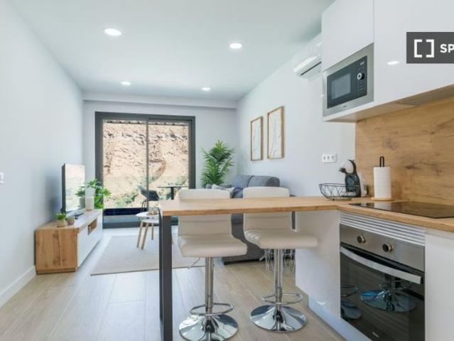 1 room luxury Apartment for rent in Mogán, Canary Islands