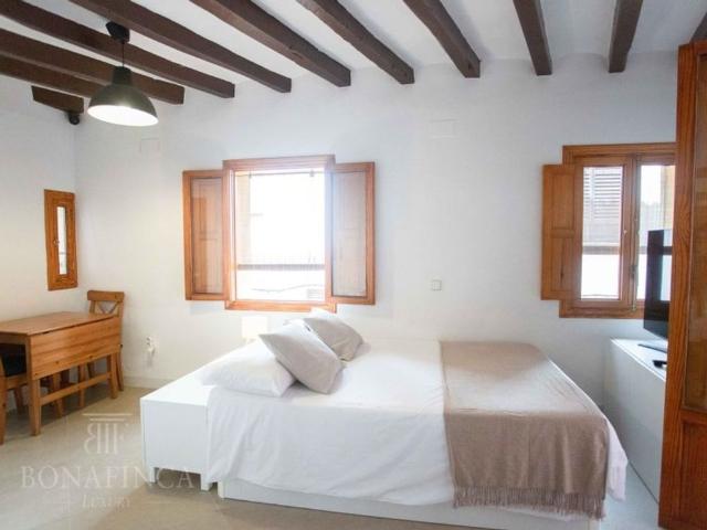 1 room luxury Apartment for rent in Palma de Mallorca, Spain
