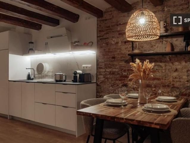 1 room luxury Flat for rent in Barcelona, Spain
