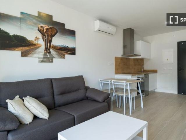 1 room luxury Flat for rent in Mogán, Spain