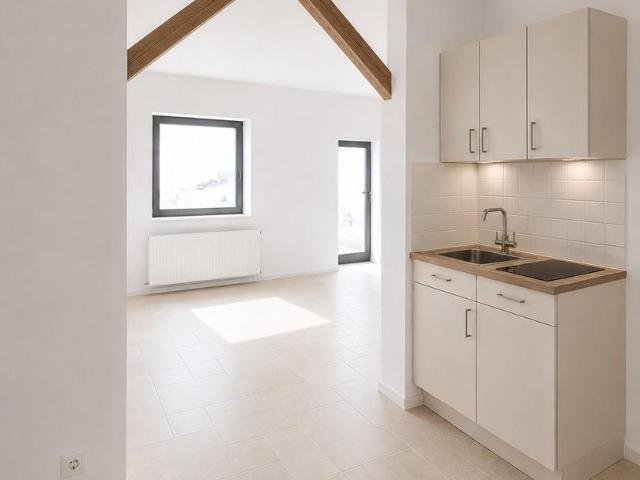 1 Schlafzimmer Villa Aachen Aachen LS105488674