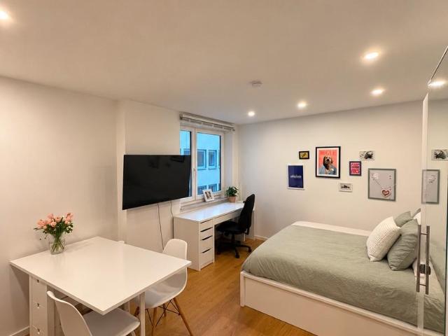 1 Schlafzimmer Wohnung München München 105464094