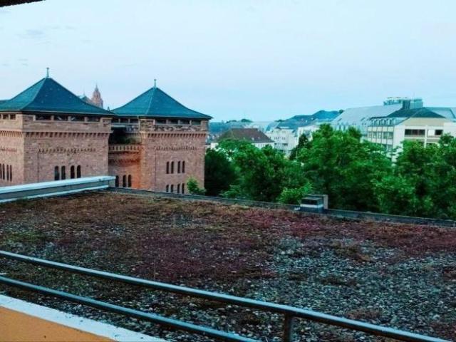 1 Schlafzimmer Wohnung Mainz Deutschland 101888270