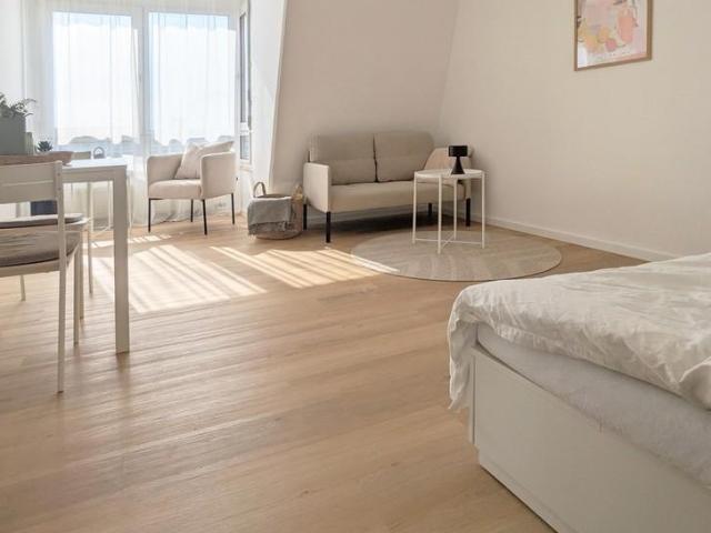 1 Schlafzimmer Wohnung Mannheim Deutschland 103544060