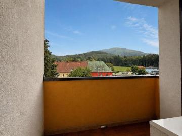 1 Schlafzimmer Wohnung Niederösterreich Niederösterreich 103342102