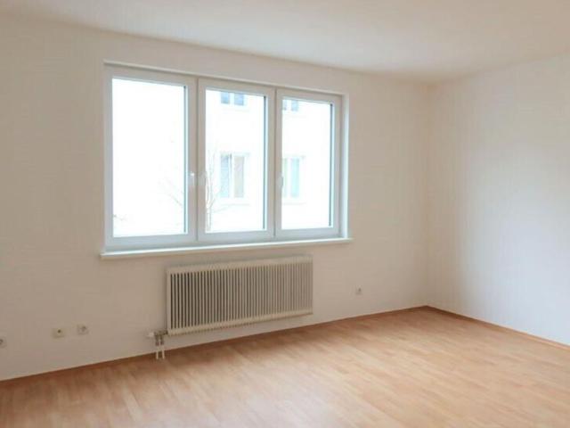 1 Schlafzimmer Wohnung Niederösterreich Niederösterreich 104227345