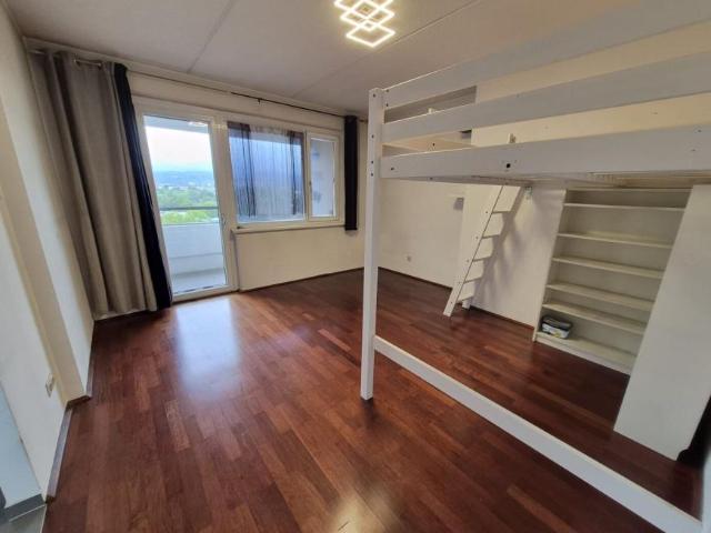1 Schlafzimmer Wohnung Niederösterreich Niederösterreich 105508102