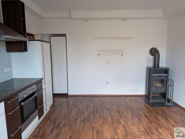 1 Schlafzimmer Wohnung Niederösterreich Niederösterreich 105645391