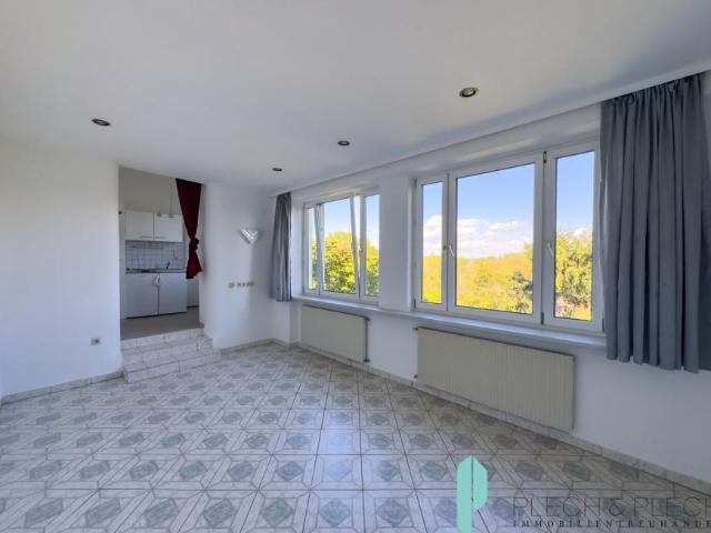 1 Schlafzimmer Wohnung Niederösterreich Niederösterreich 105718631