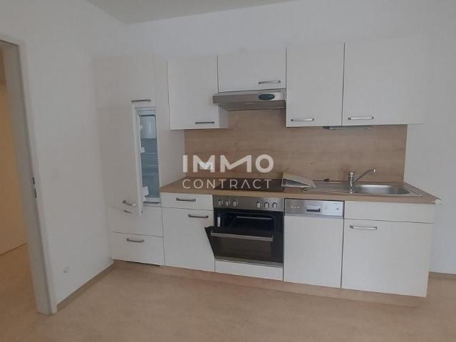 1 Schlafzimmer Wohnung Niederösterreich Niederösterreich 105038358